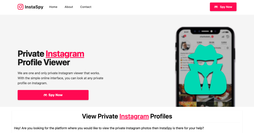 instaspy private instagram viewer main page