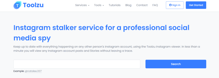 Toolzu Instagram Viewer and Downloader Review