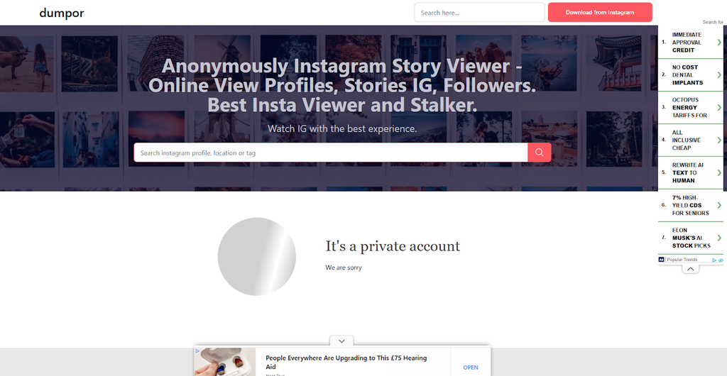 Does Dumpor Instagram Viewer Work on Private Instagram Accounts?