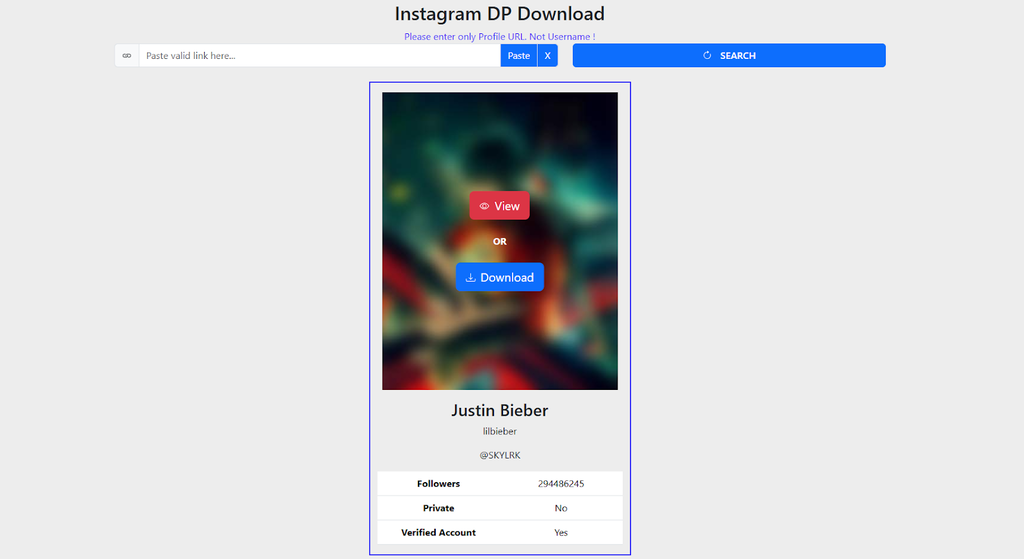 InDown Instagram downloader feature overview by viewverio.com