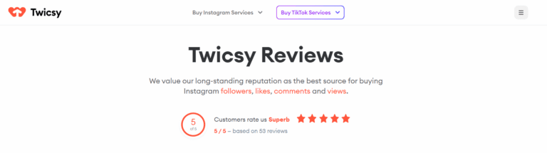 Twicsy Review