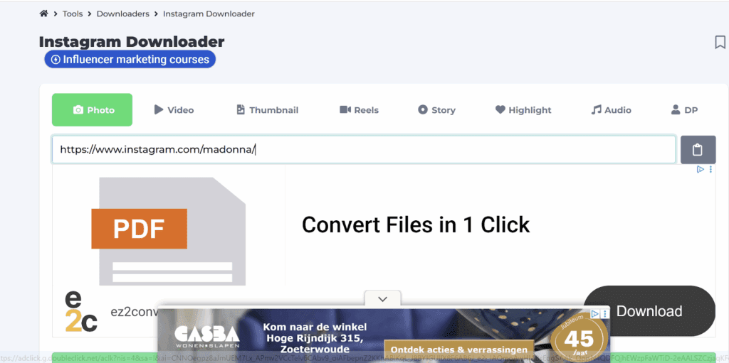 Screenshot showing the Instagram link for Madonna pasted into the input box on the Toolzin website
