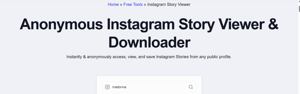 Screenshot showing the EmbedSocial Instagram Story Viewer input field with the username ‘madonna’ typed in as an example of a public account search