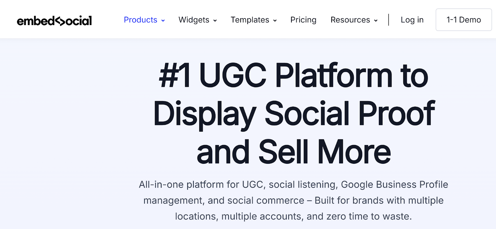 EmbedSocial main page
