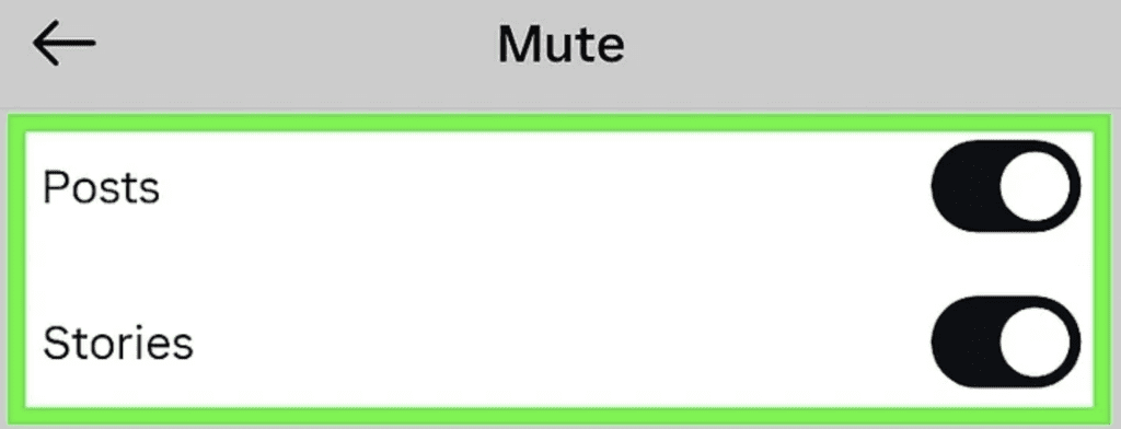 A screenshot of the Instagram mute settings menu showing toggles to mute posts and stories