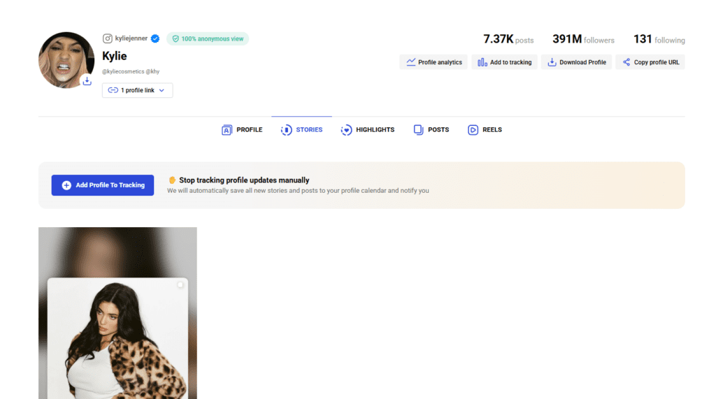Inflact story viewer feature